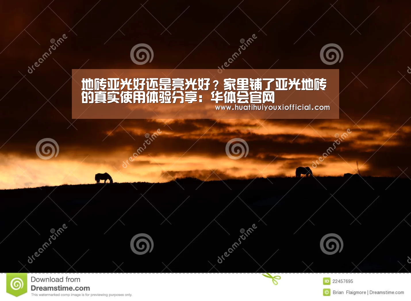 地砖亚光好还是亮光好?家里铺了亚光地砖的真实使用体验分享:华体会官网(图1) 华体会网站