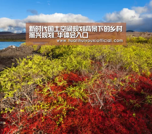 新时代国土空间规划背景下的乡村振兴规划_华体会入口(图1) 华体会入口