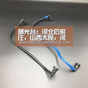 华体会网站