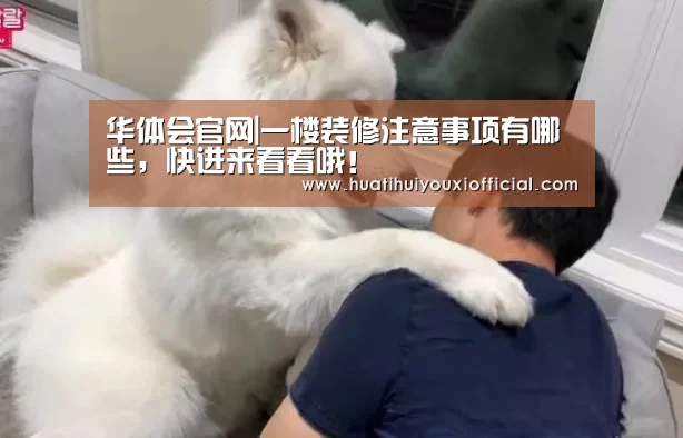 华体会官网|一楼装修注意事项有哪些,快进来看看哦!(图2) 华体会网站