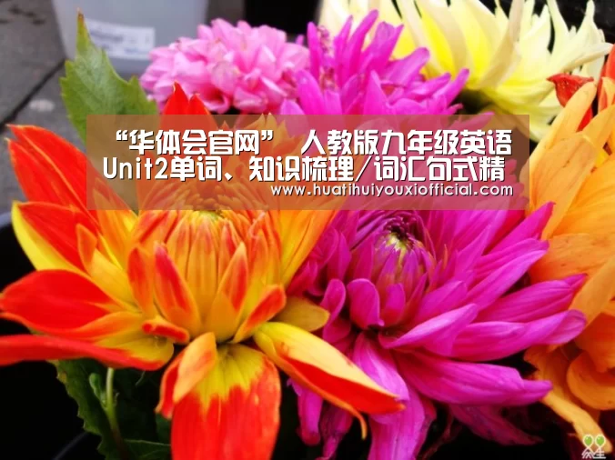 华体会网站